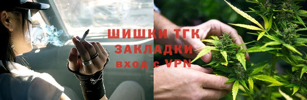 гидра Алексеевка