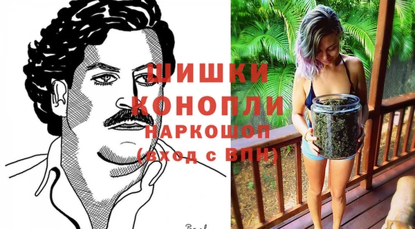 Альфа ПВП Лиски