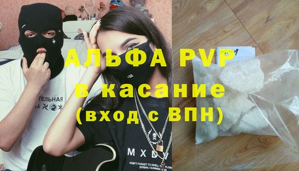 СК Алексин