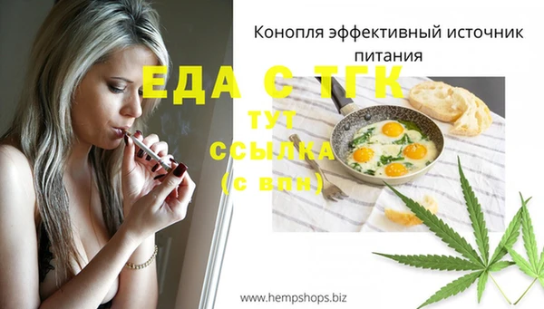 СК Алексин