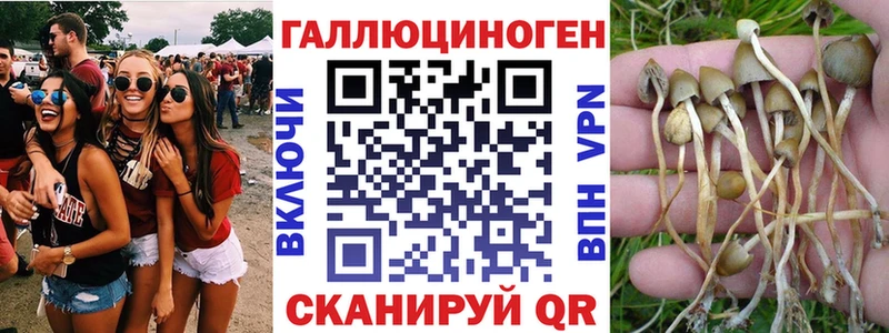 Галлюциногенные грибы MAGIC MUSHROOMS Белгород